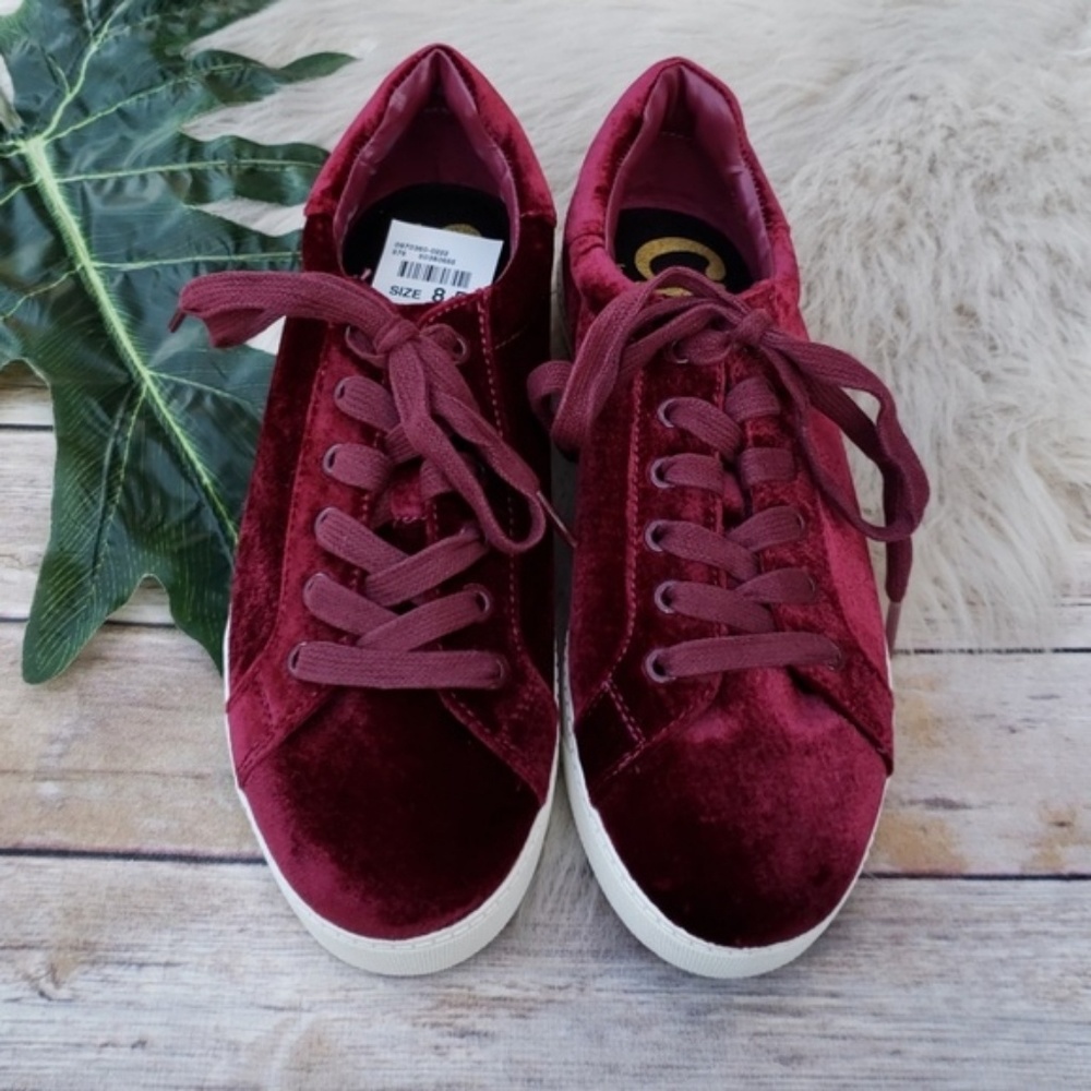 Sam Edelman Caprice velvet Sneakers Maroon/Burgund